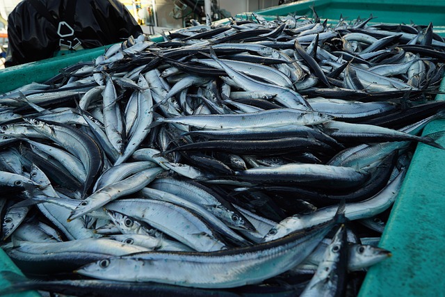 pesca intensiva